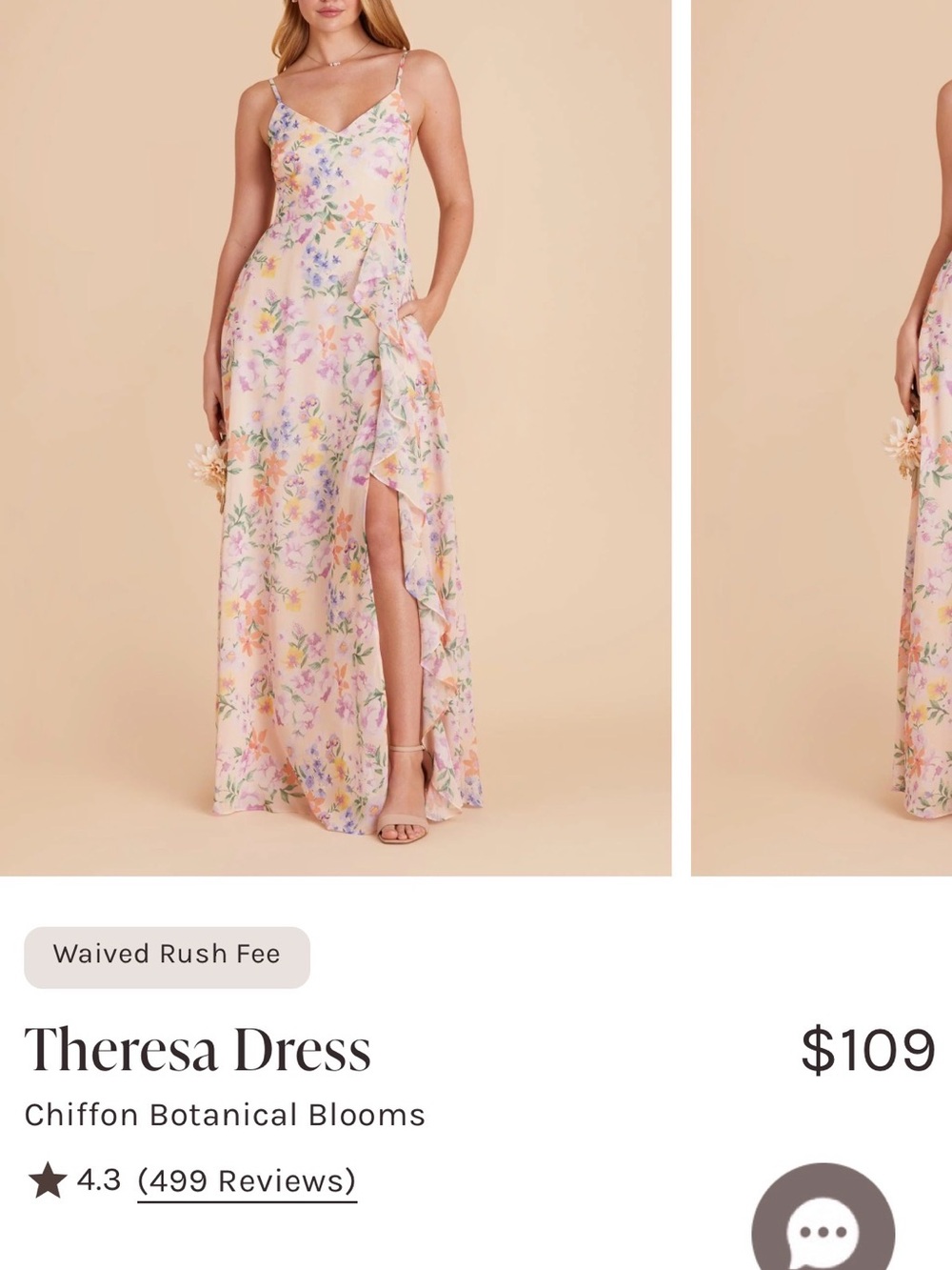 Birdy Grey Theresa Maxi Dress — Pastel Floral